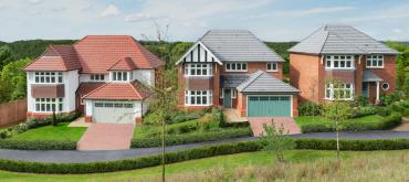 Hendricks Green 1