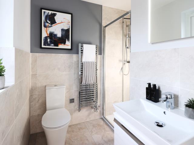 oxford life ensite 2