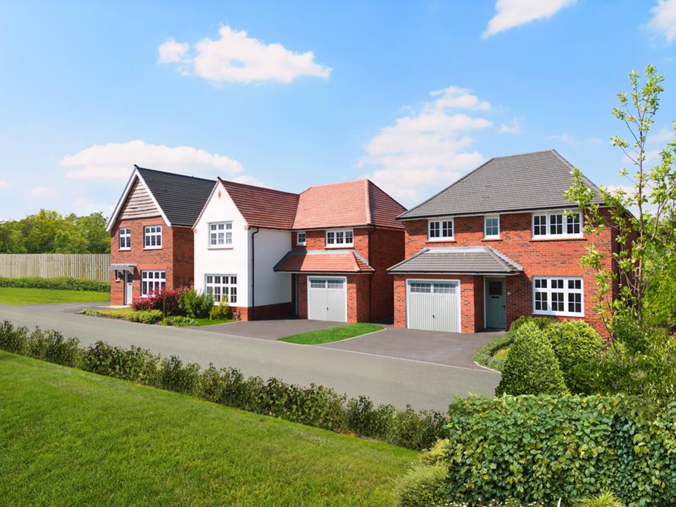 64198 - Emperor Image