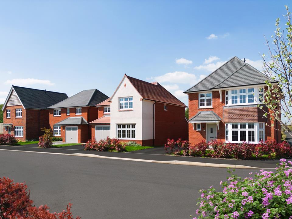 64199 - Emperor Image 2