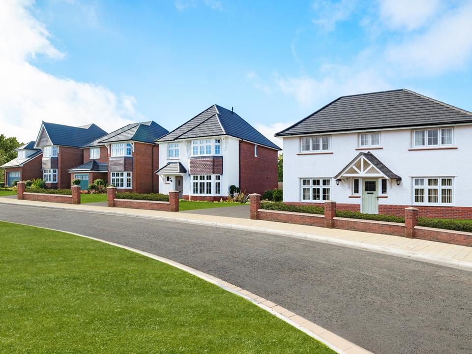 66022 - Woodlands Image