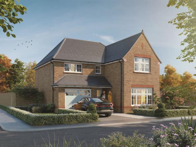 External website CGI