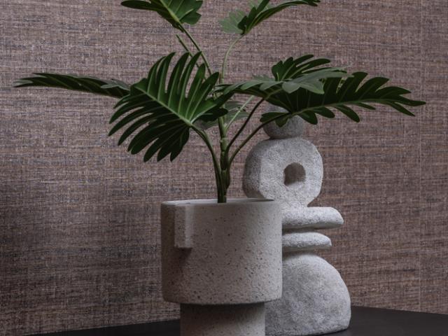 65083 - Plants Close Up