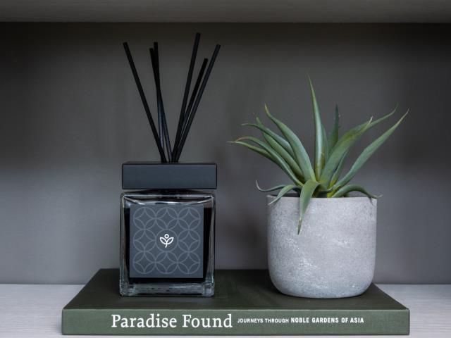 65086 - Diffuer and Plant Close Up