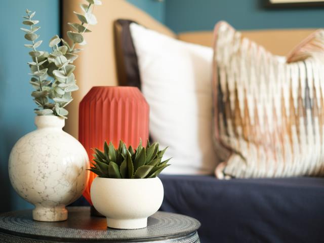 65359 - Plants and sofa close up