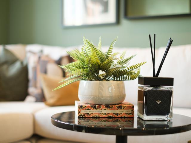 65371 - Lounge accessories close up