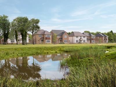 All Saints Gardens Search