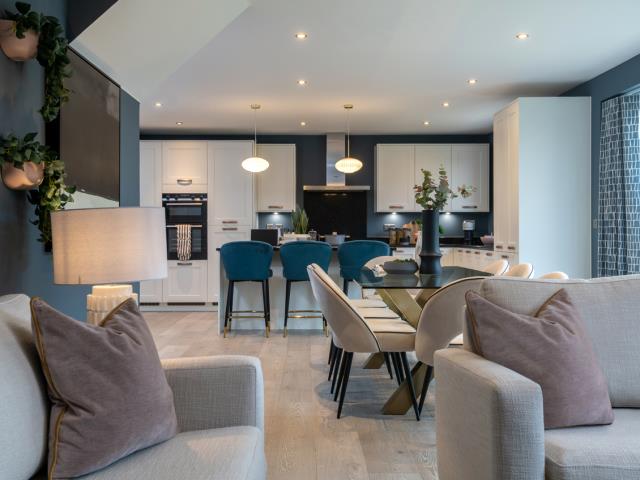 Kitchen dining family