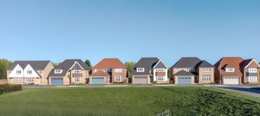 Tudor Meadow