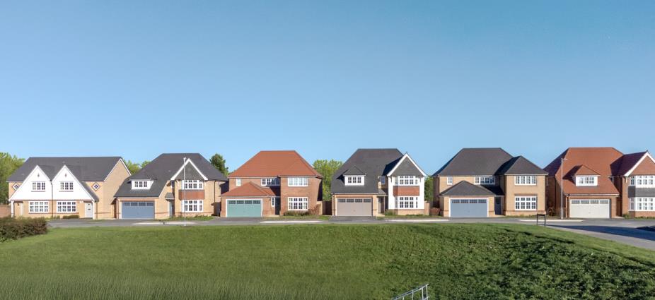 Tudor Meadow