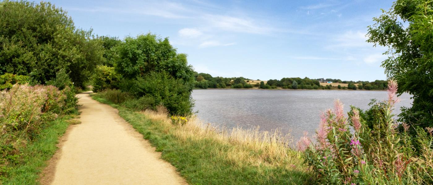 Redrow - Yorkshire - The Woodlands