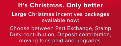 Christmas Incentives Packages - Mobile