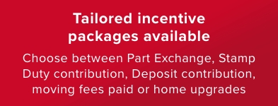 Tailored incentive packages inc Part Exchange - Mobile