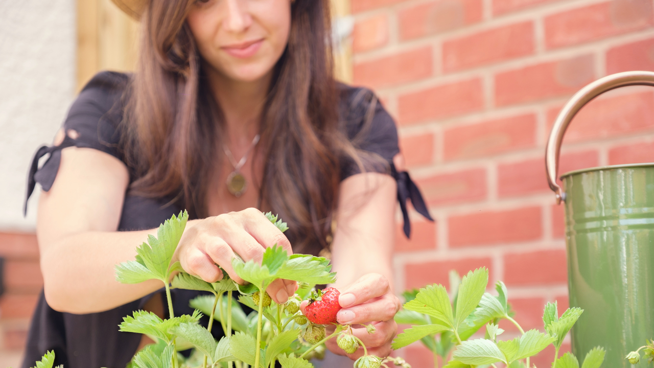 Redrow - Inspiration - 10 Garden Space Ideas - Grow your own