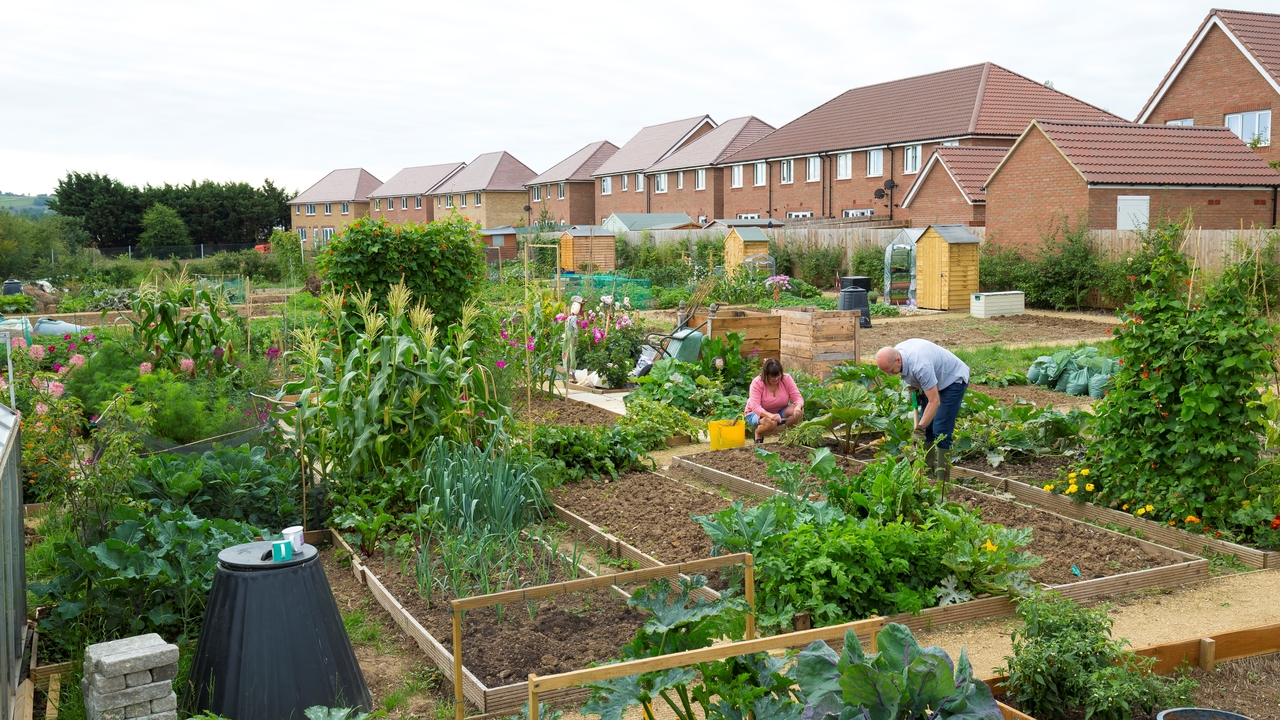 Redrow - Inspiration - Allotment at a Redrow Development