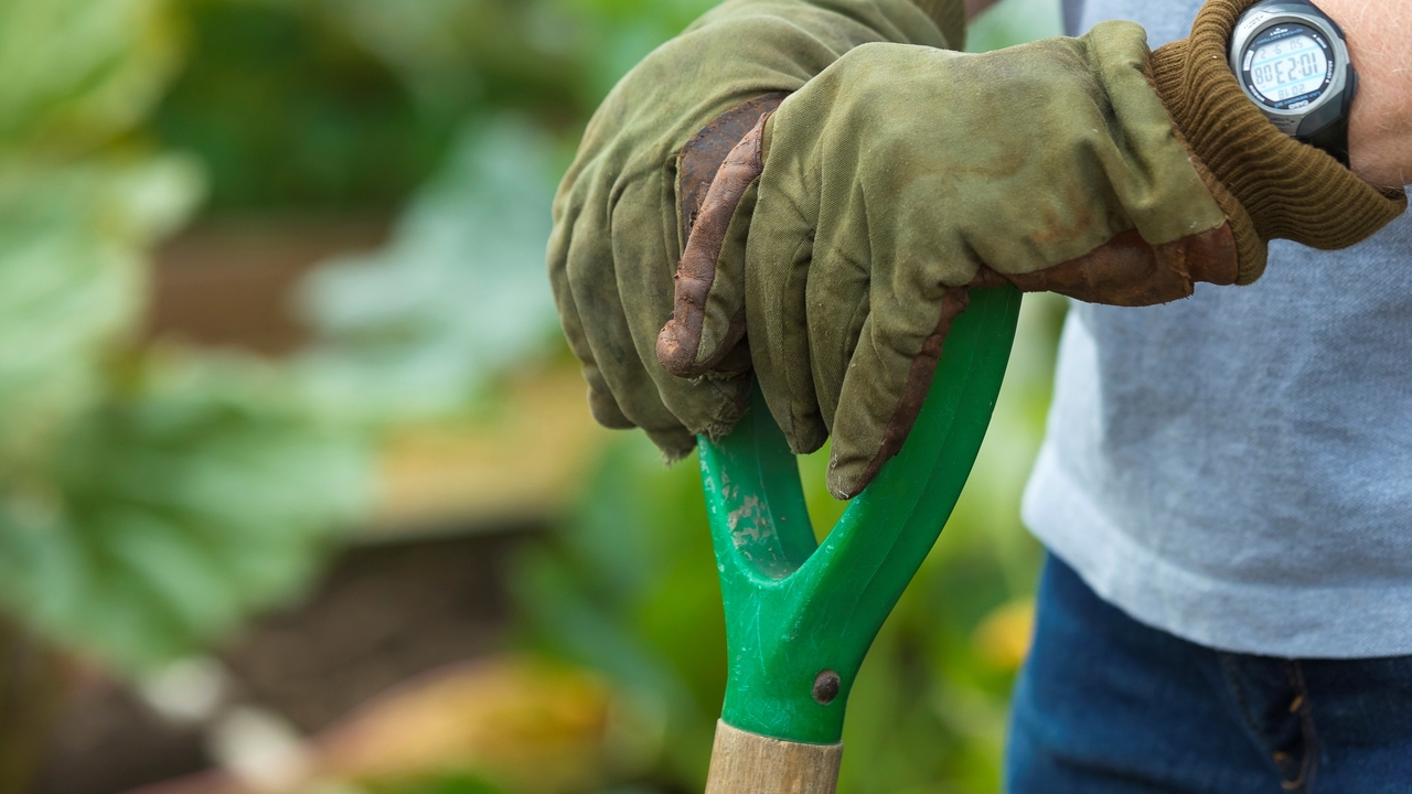 Redrow - Inspiration - Man working on an allotment