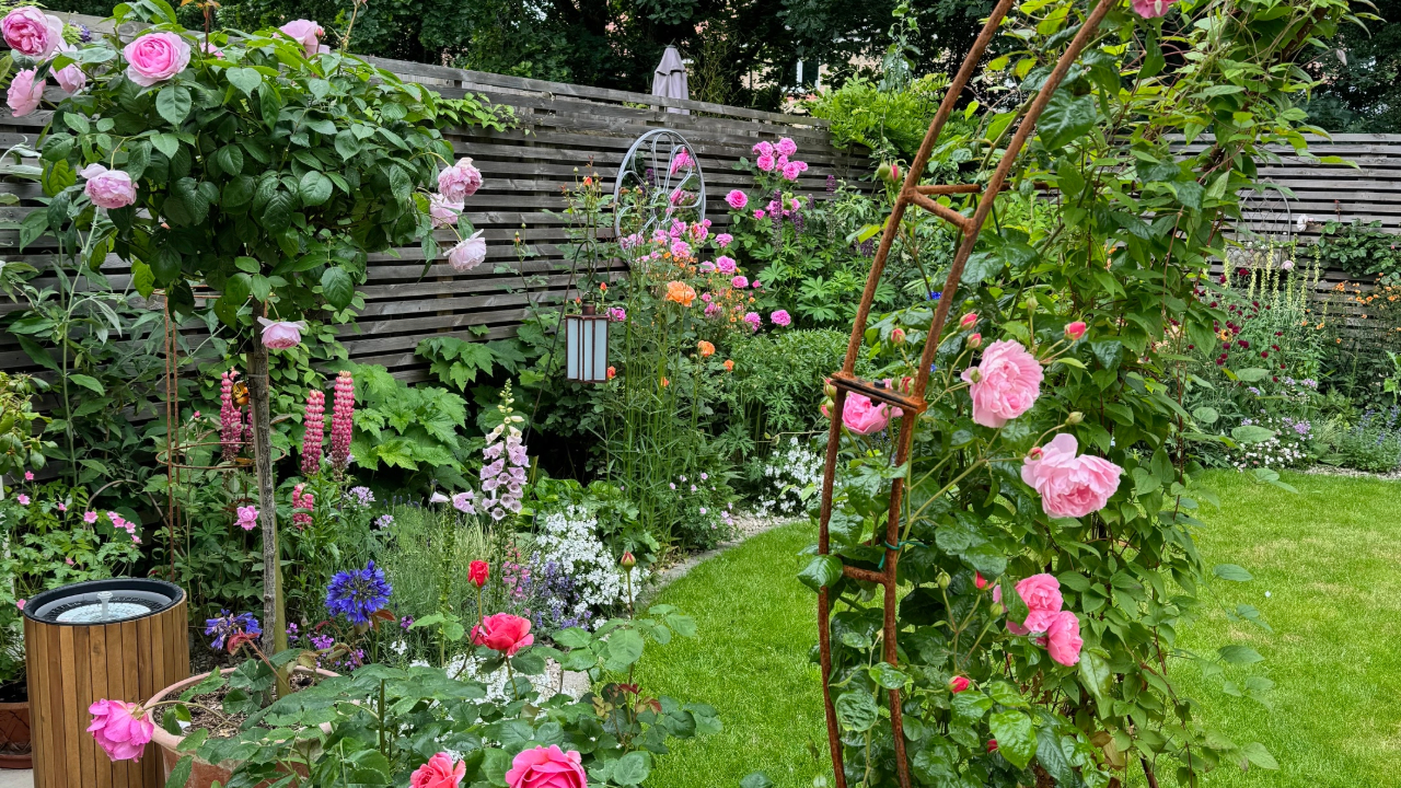 Redrow - Inspiration - Jane rose garden