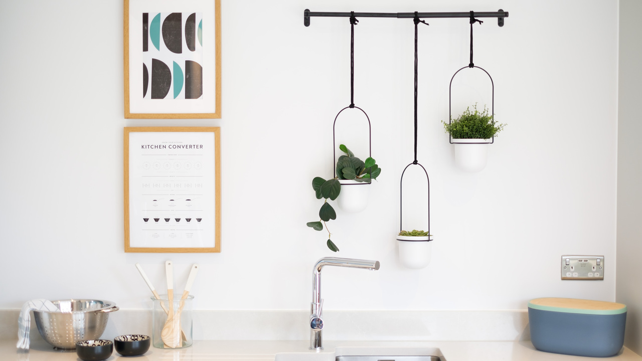 Redrow - Inspiration - Utility room with hanging plants