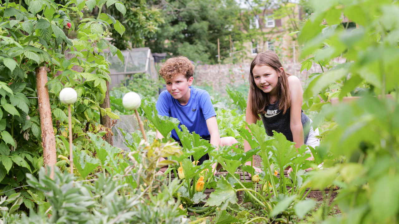 Redrow - Inspiration - Children working in an allotment Frenchay Gardens in Bristol