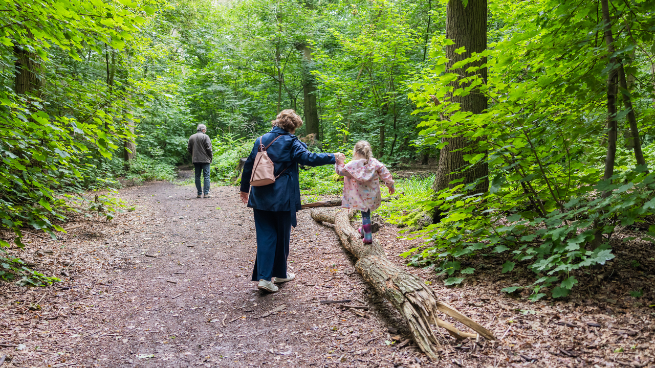 Redrow - Inspiration - Parent and child walking on a log near The Orchards