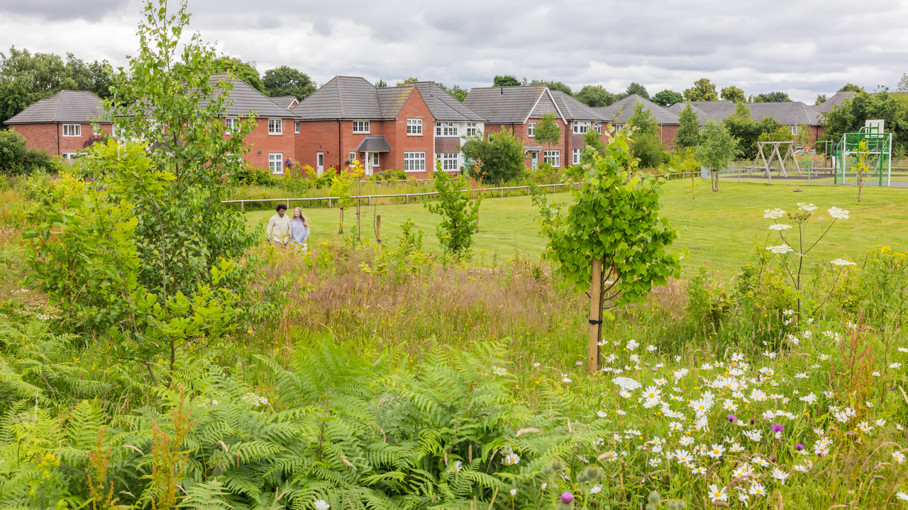 Redrow - Inspiration - Young trees and play park