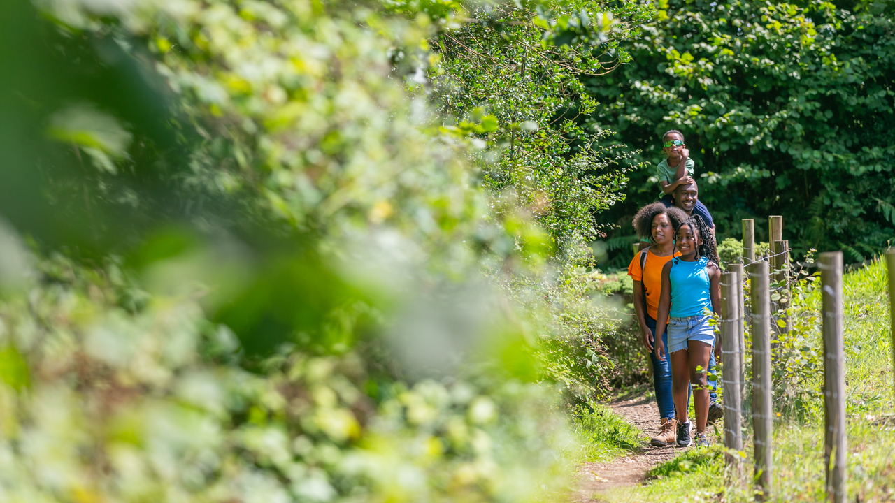 Redrow - Inspiration - Family walking down country trail