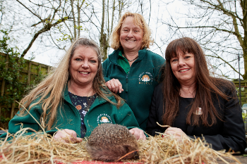 Embeded-Chorley-HEdgehog-Rescue