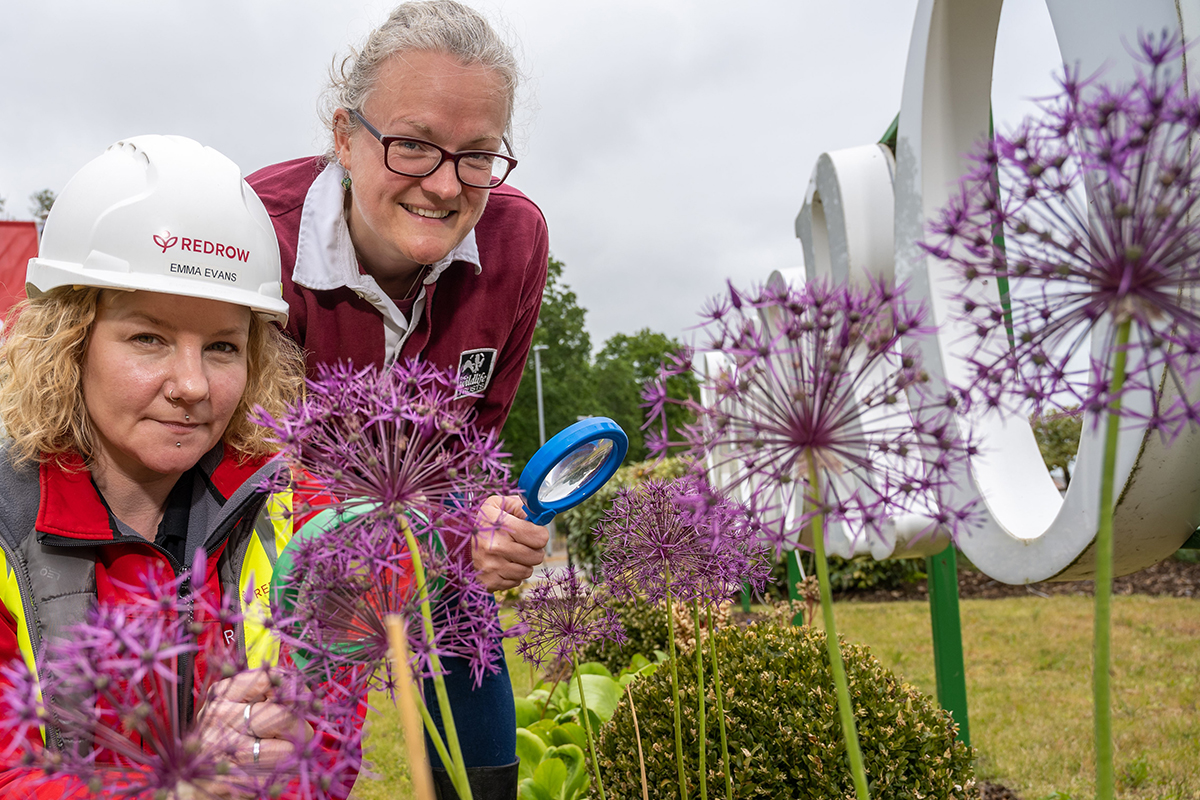 Redrow News - World Bee Day 1