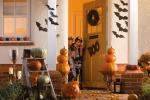 Redrow - News - Pumpkins
