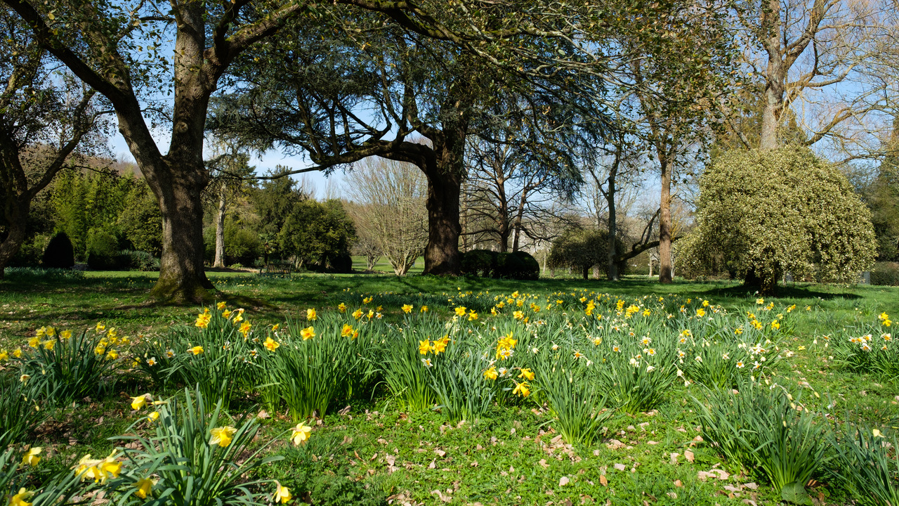 Redrow - News - St Davids Day