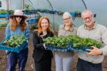Burscough Community Farm 1